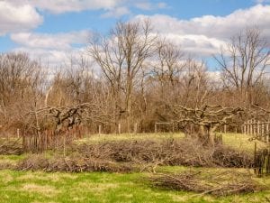 Agricultural Burning 