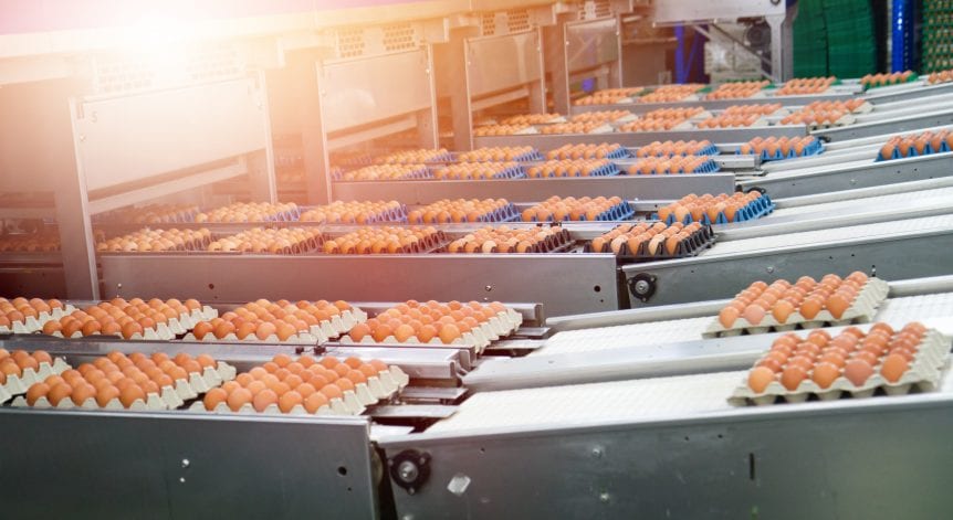 U.S. egg production