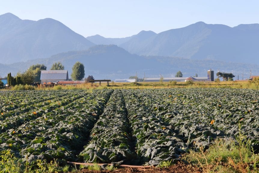 specialty crop farmers