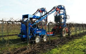 Winegrape Mechanization