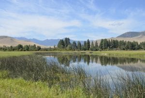 Agricultural Conservation Easement