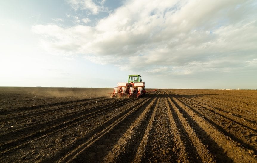 Prospective Planting