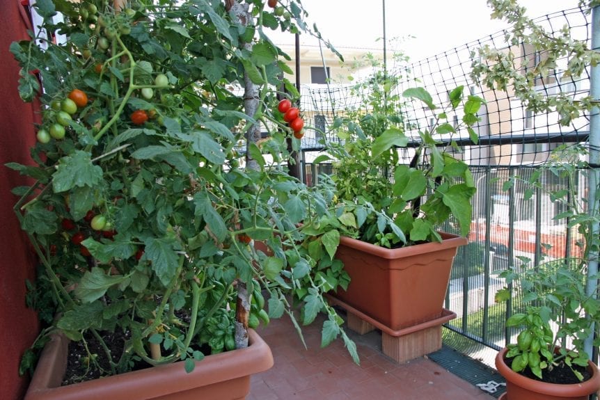 balcony garden