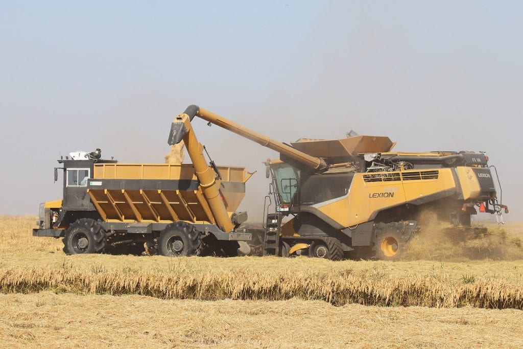 2020 Rice Harvest