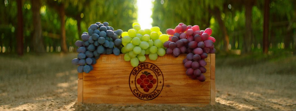 California Table Grape