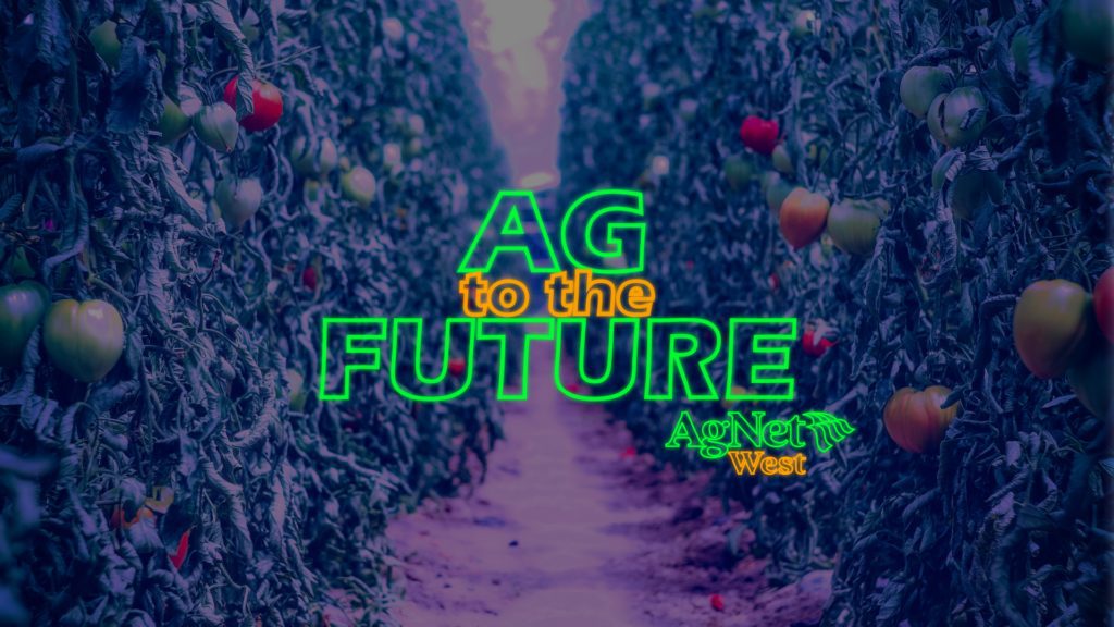 Foundation for Agriculture 