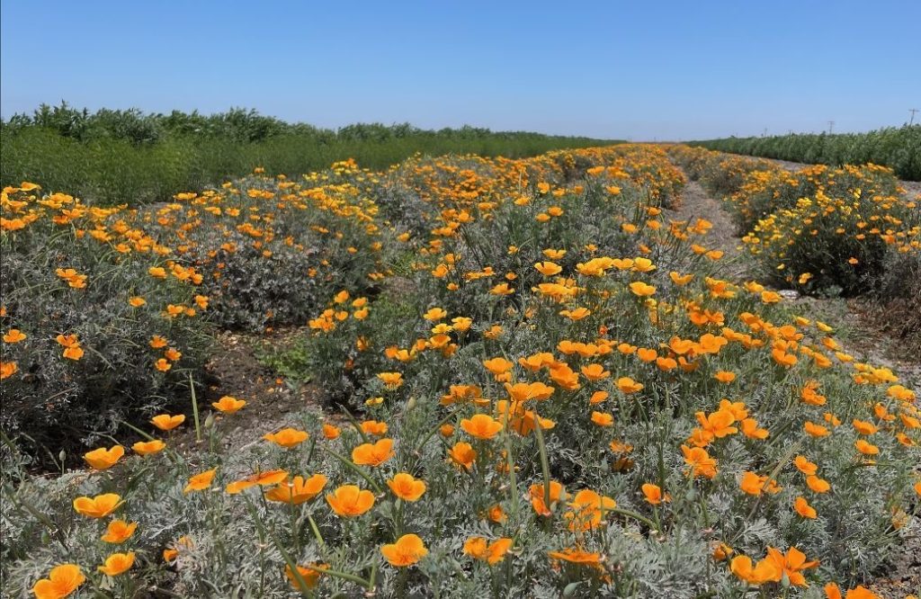 On-Farm Conservation Programs