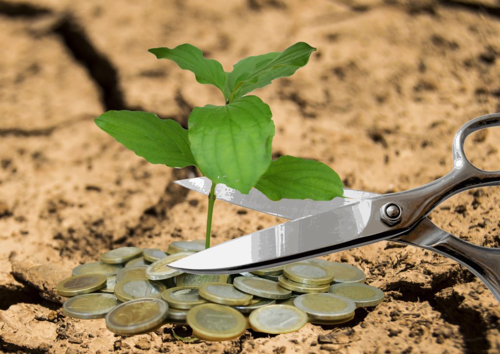 interest expense ratio