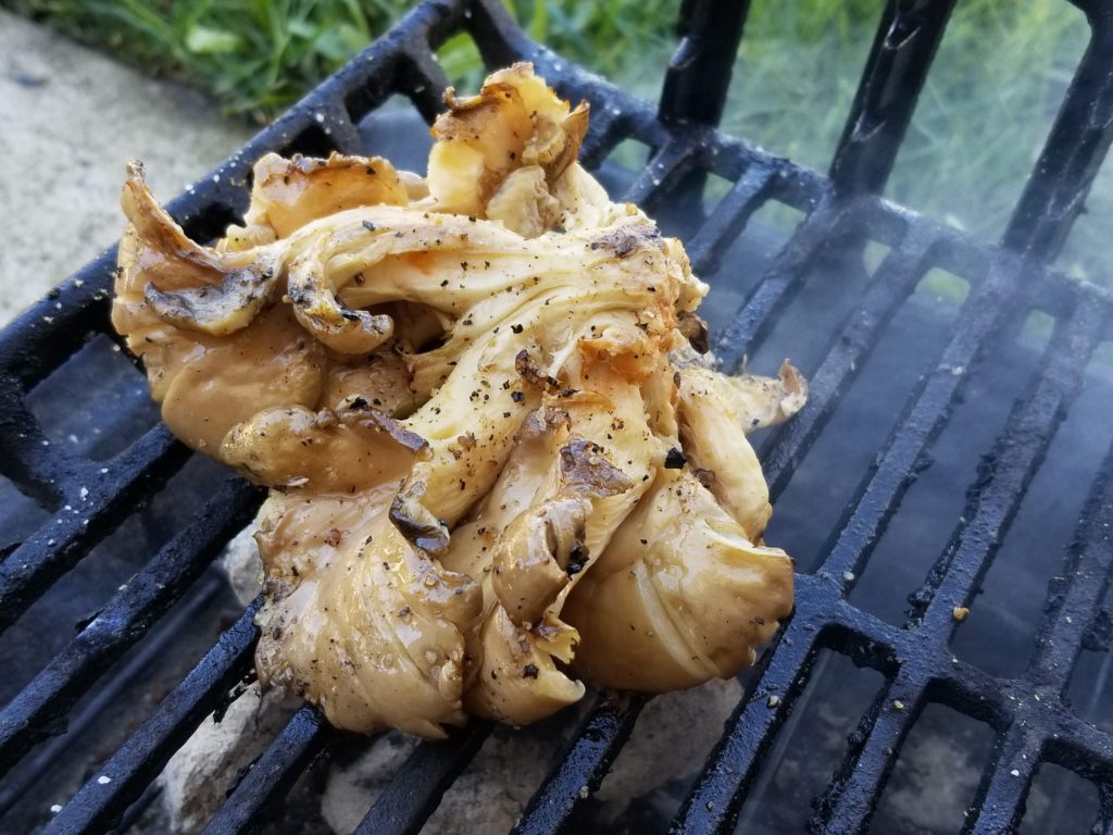 Ember Grilled Oyster Mushrooms