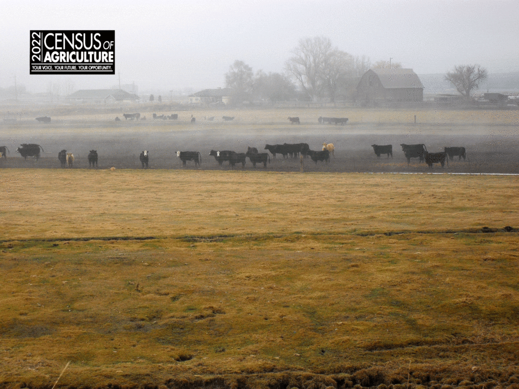 2022 Census of Agriculture