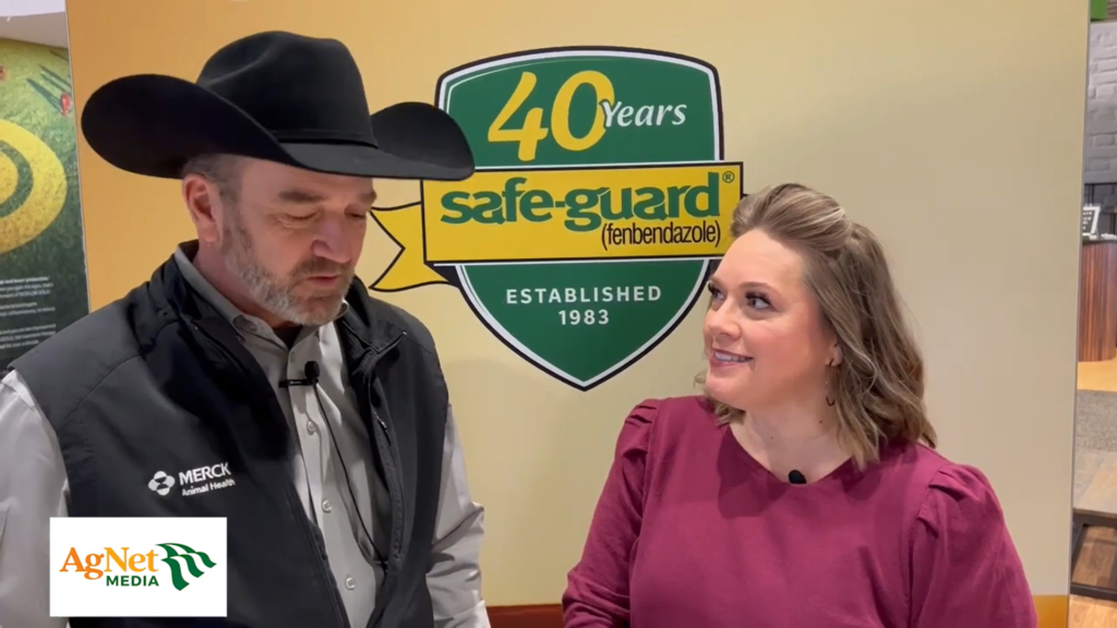 Featured image for “Video: Discussing Calf Vaccines with Merck”