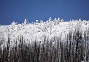 Record-Breaking Snowpack