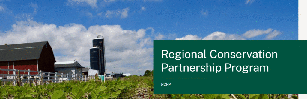 conservation projects