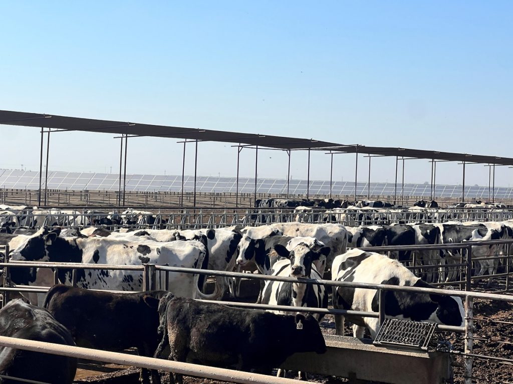 Conservation Investments