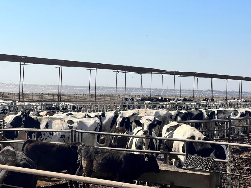 Conservation Investments