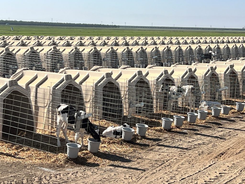 Conservation Investments