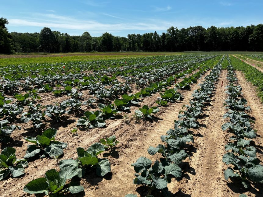 Specialty Crop Research