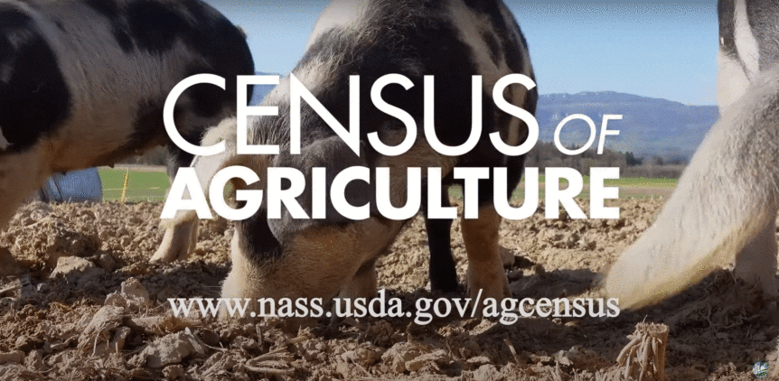 census