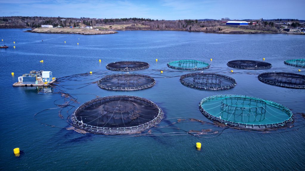 aquaculture
