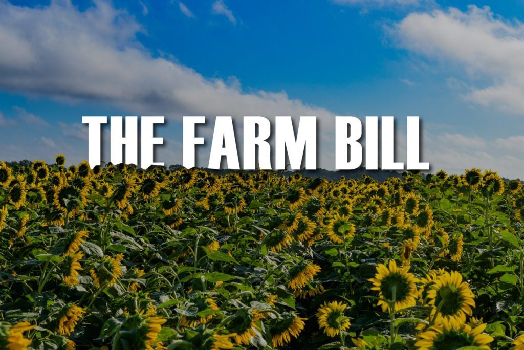Farm Bill Finalization