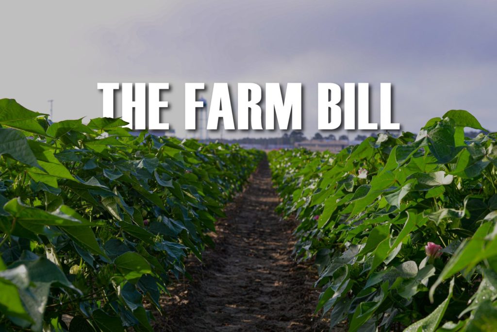 Featured image for “Senate Farm Bill Advances With E15 Provision, Proposition 12 Dispute Unresolved”
