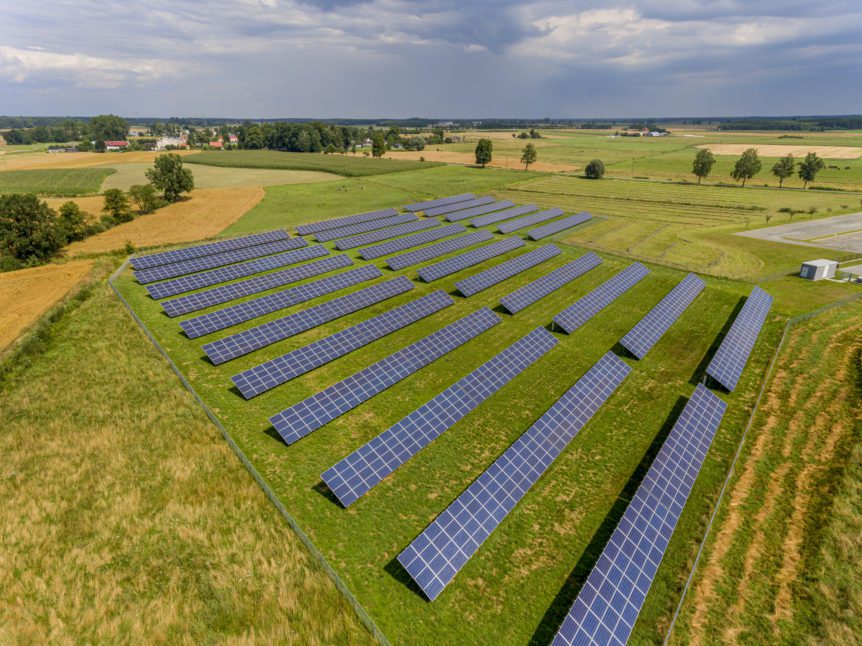 conservation projects