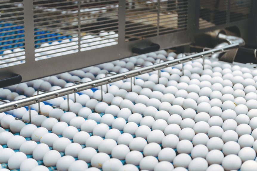 egg prices
