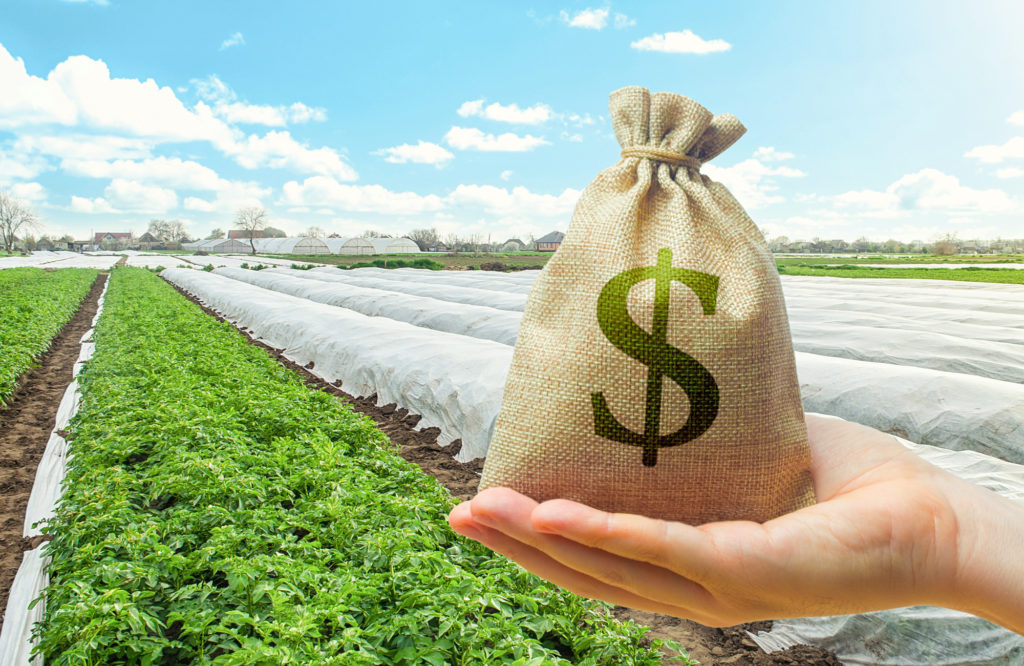 Featured image for “Farm Income Outlook Shows Higher Payments, Rising Expenses in 2026”