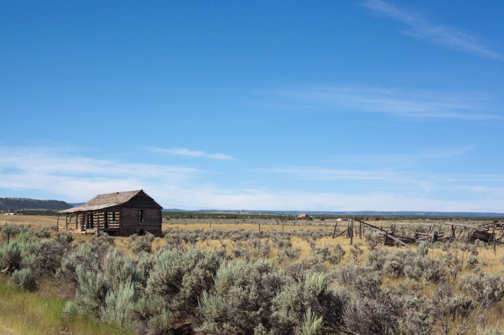 American Agriculture