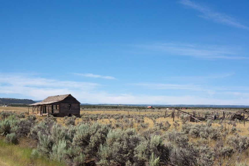 American Agriculture