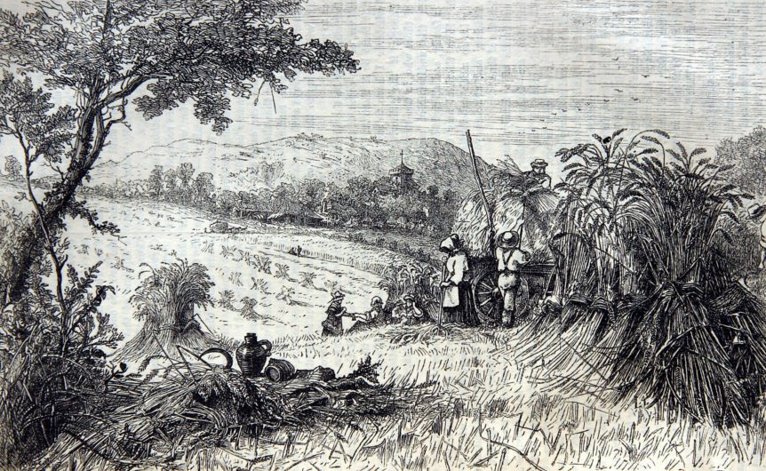 American Agriculture History