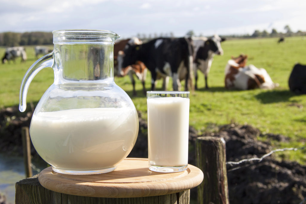 Featured image for “Growing Milk Supplies Continue to Pressure U.S. Dairy Prices”