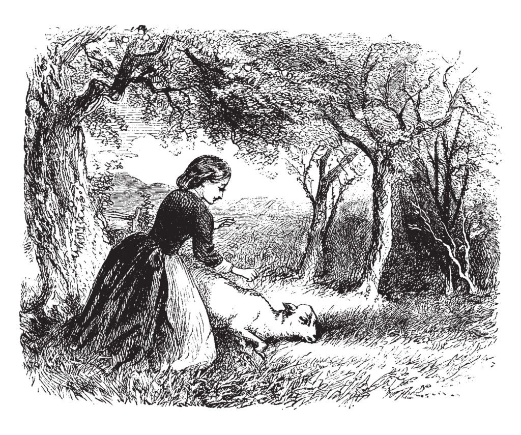 American Agriculture History