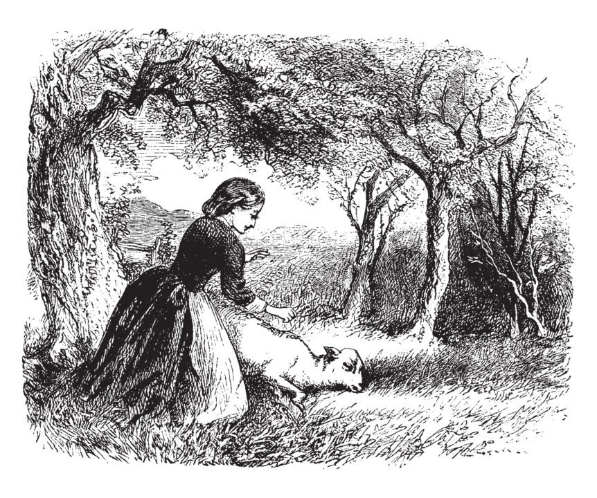 American Agriculture History