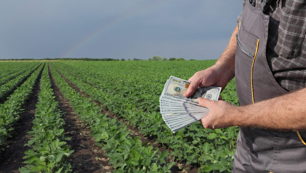 Featured image for “Farm Bureau Seeks More Agricultural Relief as USDA Payment Details Remain Unclear”