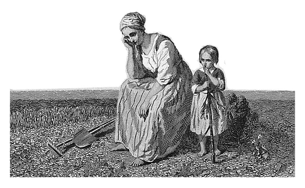 American Agriculture