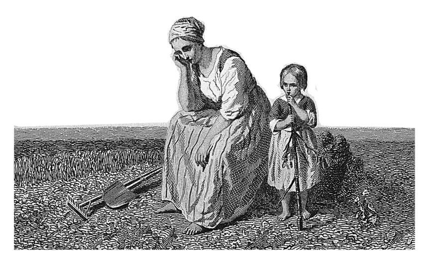 American Agriculture