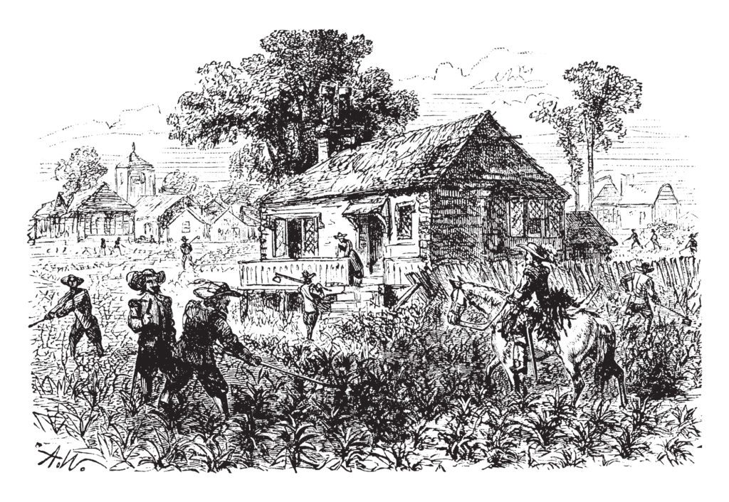 American Agriculture History