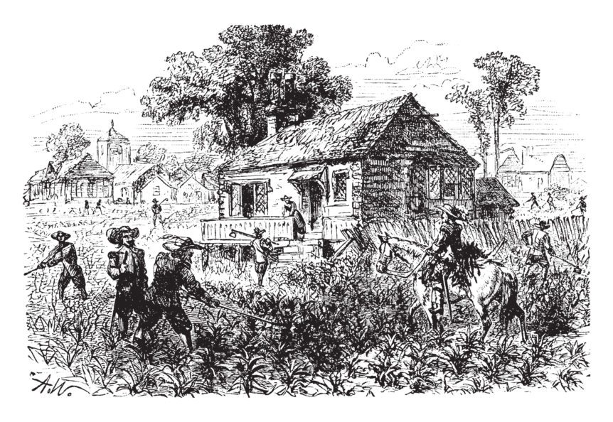 American Agriculture History
