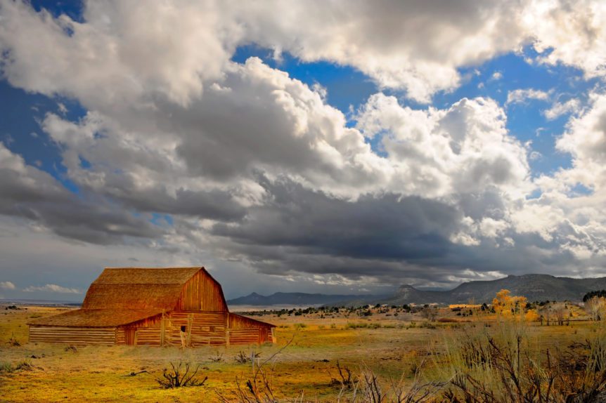 American Agriculture
