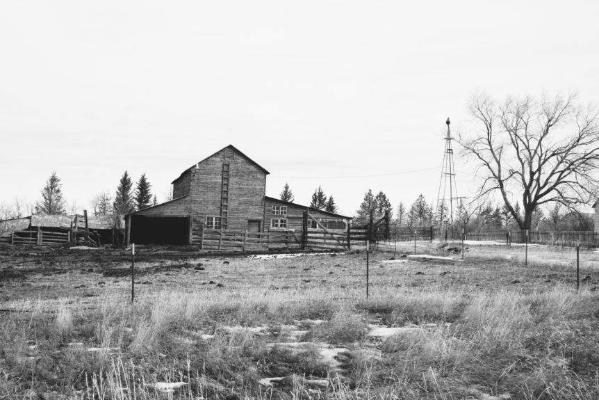 American Agriculture