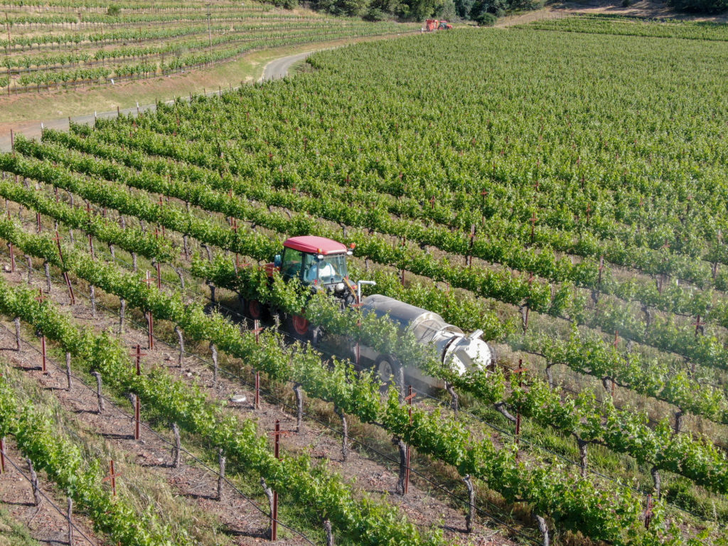 Featured image for “EPA and HHS Coordinate Glyphosate Review”
