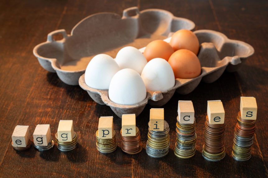 egg prices