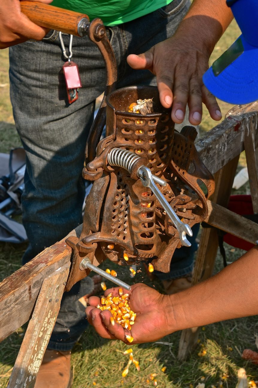 American Agriculture