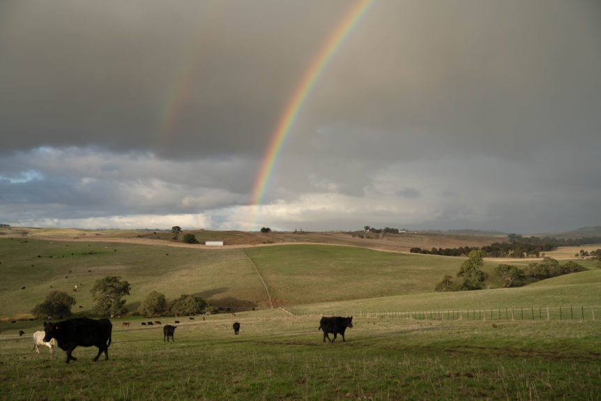 American Agriculture