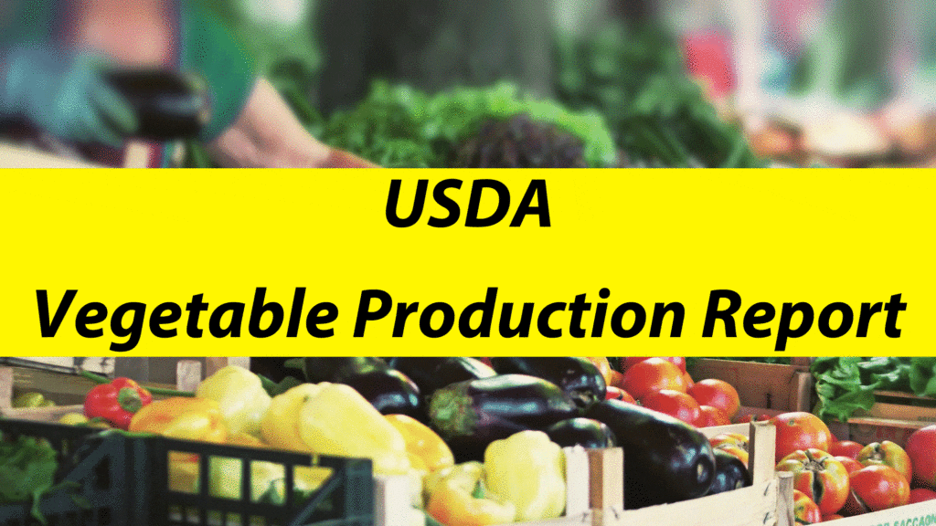 2024 Vegetable Production Report