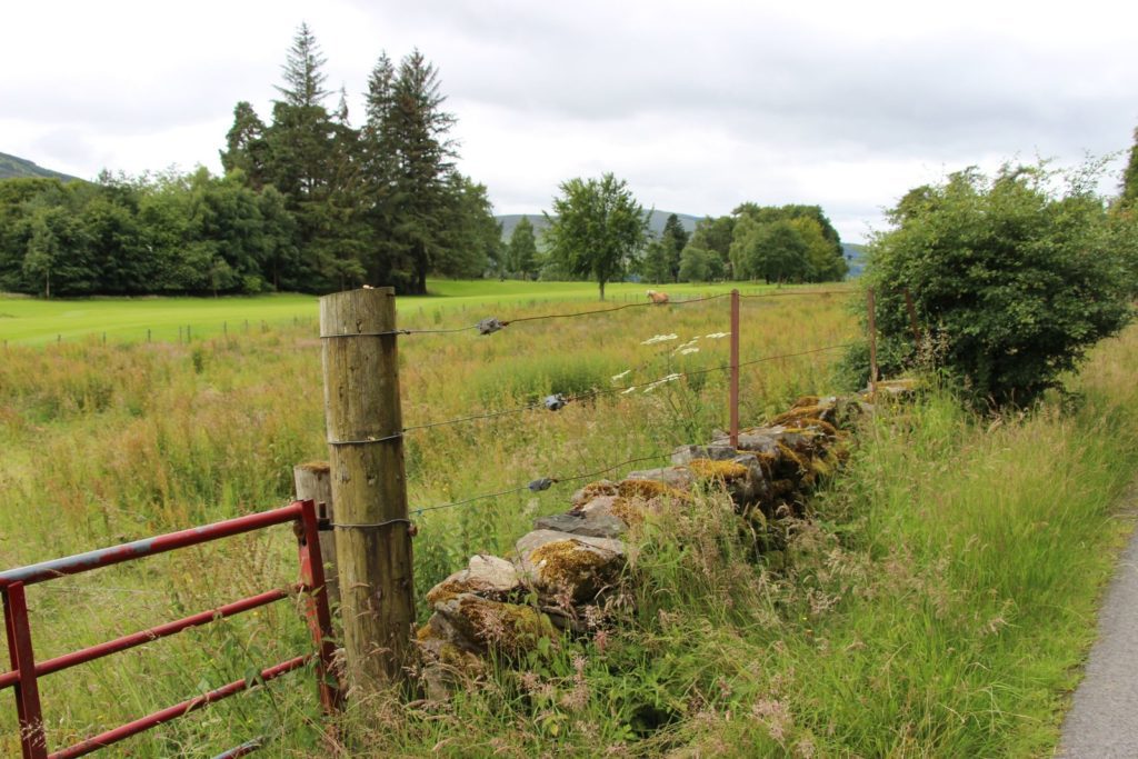 Tax Cuts and Jobs Act