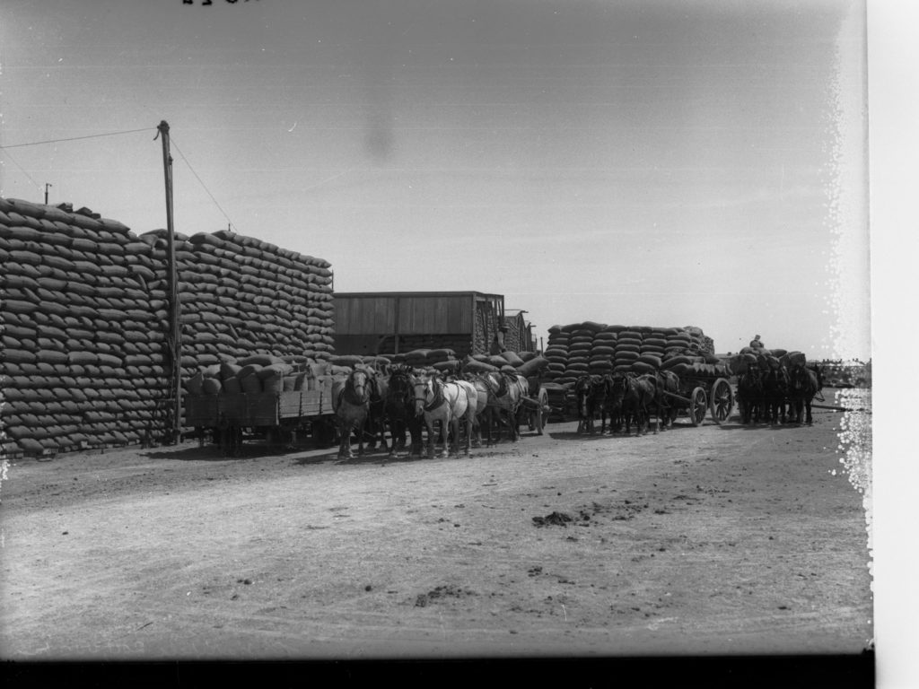 American Agriculture