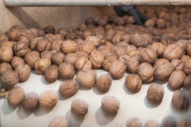California Walnuts