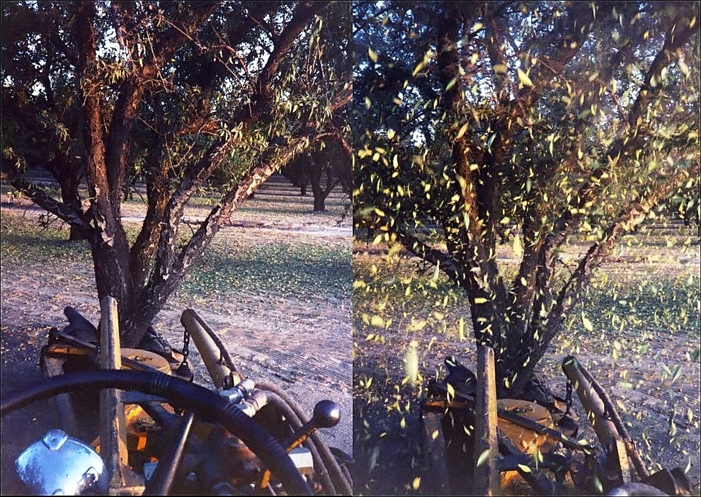 Crop Production Report